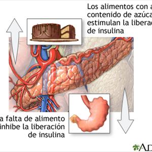 Diabetes Health Risks - How To Control Diabetes / Blood Sugar Naturally