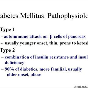 Sugar Diabetes Foods - Cinamon, Diabetes And Insulin Resistance